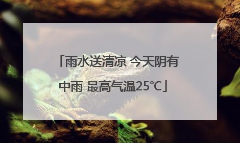 雨水送清凉 今天阴有中雨 最高气温25℃