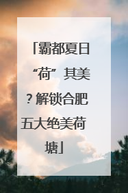 霸都夏日“荷”其美？解锁合肥五大绝美荷塘