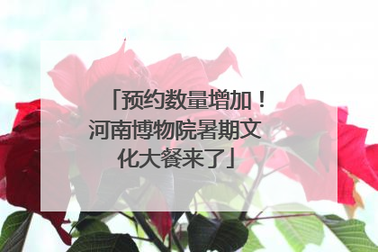 预约数量增加！河南博物院暑期文化大餐来了