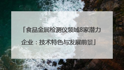 食品金属检测仪领域8家潜力企业：技术特色与发展前景