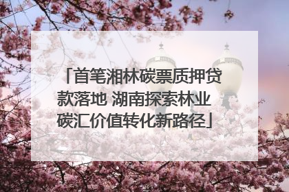 首笔湘林碳票质押贷款落地 湖南探索林业碳汇价值转化新路径