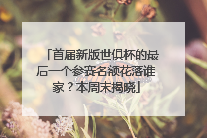 首届新版世俱杯的最后一个参赛名额花落谁家？本周末揭晓