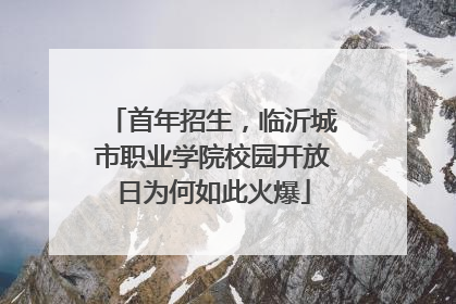 首年招生，临沂城市职业学院校园开放日为何如此火爆