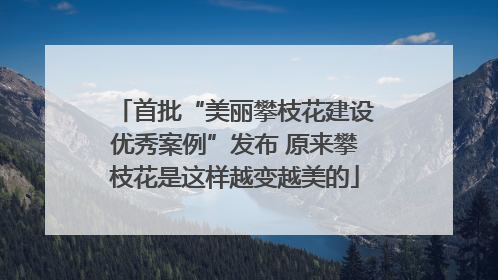 首批“美丽攀枝花建设优秀案例”发布 原来攀枝花是这样越变越美的