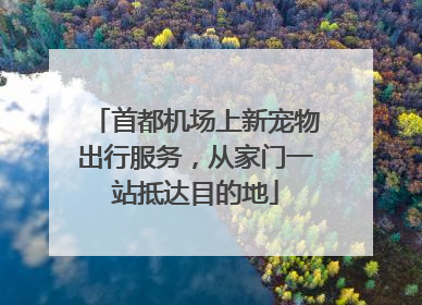 首都机场上新宠物出行服务，从家门一站抵达目的地