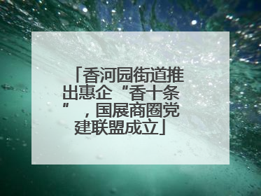 香河园街道推出惠企“香十条”，国展商圈党建联盟成立