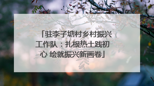 驻李子塘村乡村振兴工作队：扎根热土践初心 绘就振兴新画卷