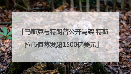 马斯克与特朗普公开骂架 特斯拉市值蒸发超1500亿美元