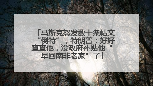 马斯克怒发数十条帖文“倒特”，特朗普：好好查查他，没政府补贴他“早回南非老家”了