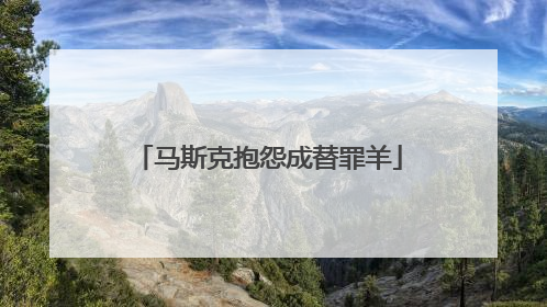 马斯克抱怨成替罪羊
