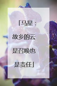 马星：故乡的云是召唤也是责任