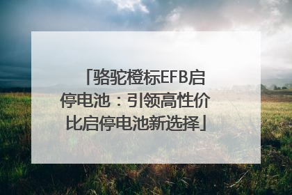 骆驼橙标EFB启停电池：引领高性价比启停电池新选择