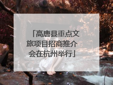 高唐县重点文旅项目招商推介会在杭州举行