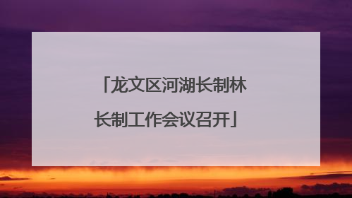 龙文区河湖长制林长制工作会议召开