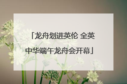 龙舟划进英伦 全英中华端午龙舟会开幕