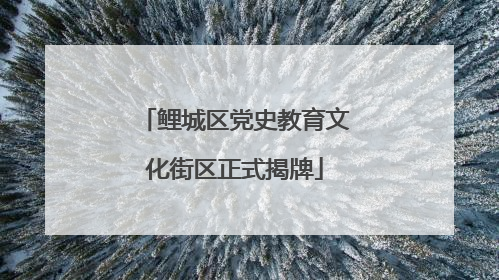 鲤城区党史教育文化街区正式揭牌