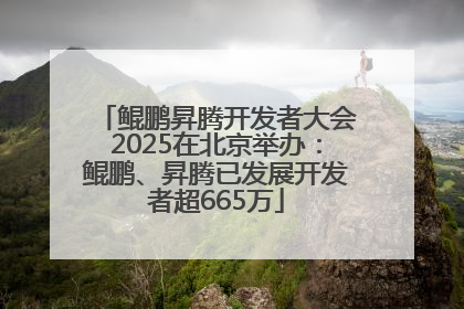 鲲鹏昇腾开发者大会2025在北京举办：鲲鹏、昇腾已发展开发者超665万