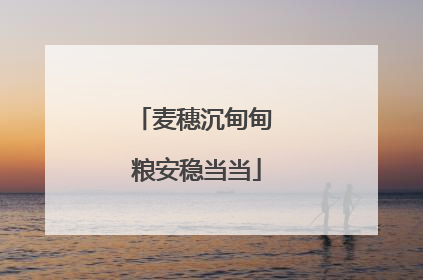 麦穗沉甸甸 粮安稳当当