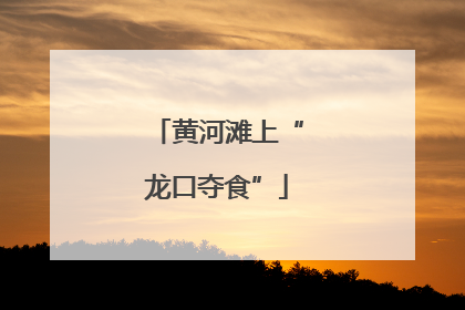 黄河滩上“龙口夺食”