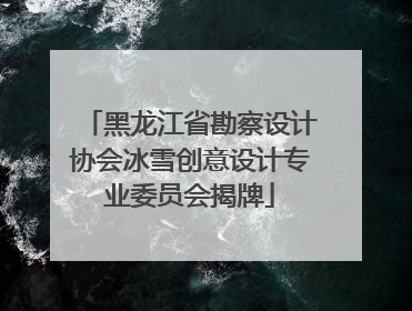 黑龙江省勘察设计协会冰雪创意设计专业委员会揭牌