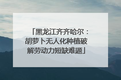 黑龙江齐齐哈尔：胡萝卜无人化种植破解劳动力短缺难题