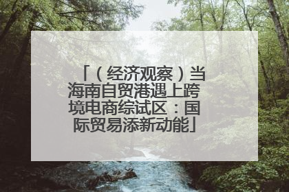 （经济观察）当海南自贸港遇上跨境电商综试区：国际贸易添新动能