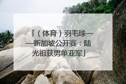 （体育）羽毛球——新加坡公开赛：陆光祖获男单亚军