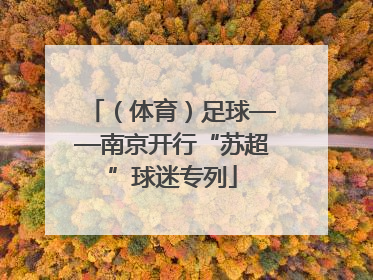 （体育）足球——南京开行“苏超”球迷专列