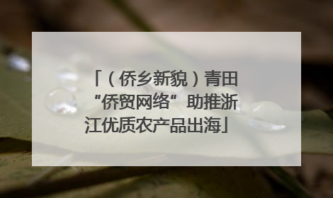 （侨乡新貌）青田“侨贸网络”助推浙江优质农产品出海