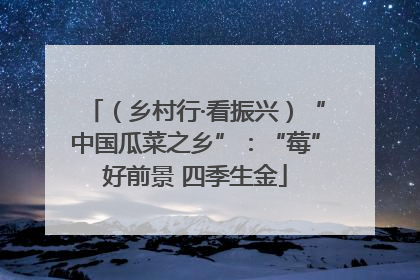 （乡村行·看振兴）“中国瓜菜之乡”：“莓”好前景 四季生金