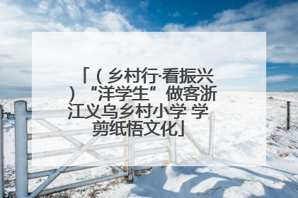 （乡村行·看振兴）“洋学生”做客浙江义乌乡村小学 学剪纸悟文化