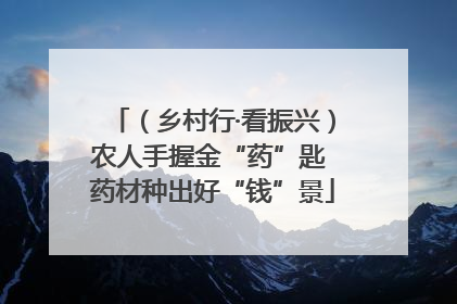 （乡村行·看振兴）农人手握金“药”匙 药材种出好“钱”景