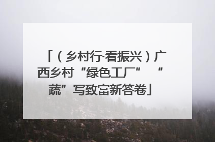 （乡村行·看振兴）广西乡村“绿色工厂” “蔬”写致富新答卷