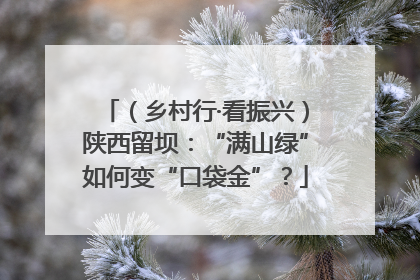 （乡村行·看振兴）陕西留坝：“满山绿”如何变“口袋金”？