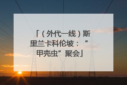 （外代一线）斯里兰卡科伦坡：“甲壳虫”聚会
