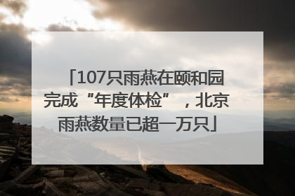 107只雨燕在颐和园完成“年度体检”，北京雨燕数量已超一万只