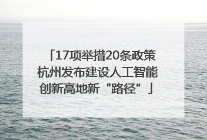17项举措20条政策 杭州发布建设人工智能创新高地新“路径”