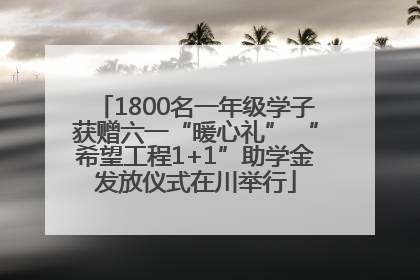 1800名一年级学子获赠六一“暖心礼” “希望工程1+1”助学金发放仪式在川举行