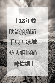 18年救助流浪猫近千只！冰城蔡大姐的猫咪情缘