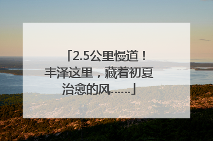 2.5公里慢道！丰泽这里，藏着初夏治愈的风……