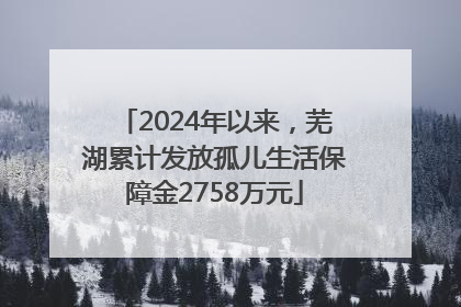 2024年以来，芜湖累计发放孤儿生活保障金2758万元