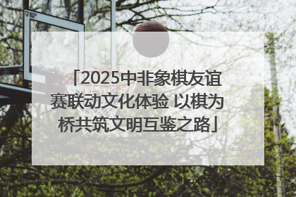 2025中非象棋友谊赛联动文化体验 以棋为桥共筑文明互鉴之路