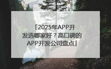 2025年APP开发选哪家好？高口碑的APP开发公司盘点
