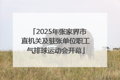 2025年张家界市直机关及驻张单位职工气排球运动会开幕