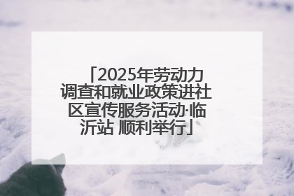 2025年劳动力调查和就业政策进社区宣传服务活动·临沂站 顺利举行