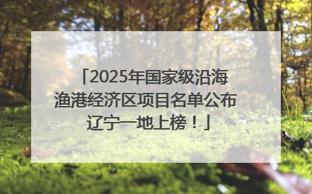 2025年国家级沿海渔港经济区项目名单公布 辽宁一地上榜！
