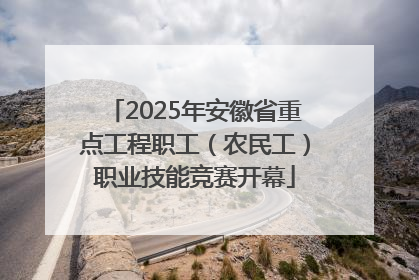 2025年安徽省重点工程职工（农民工）职业技能竞赛开幕