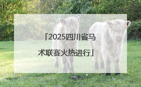 2025四川省马术联赛火热进行