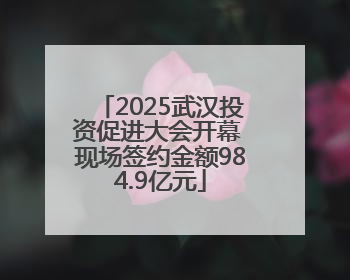 2025武汉投资促进大会开幕 现场签约金额984.9亿元