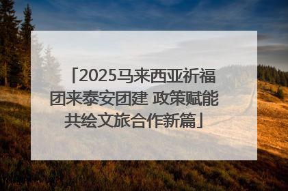 2025马来西亚祈福团来泰安团建 政策赋能共绘文旅合作新篇